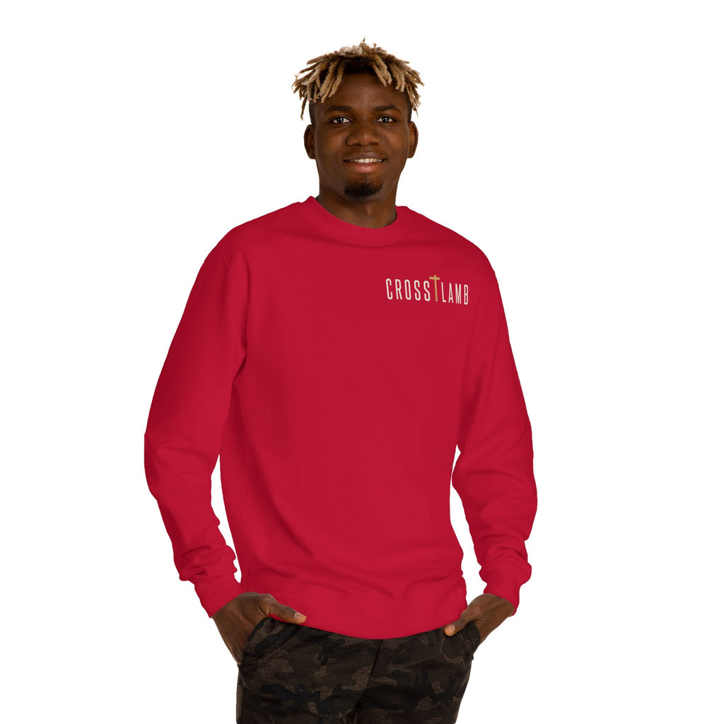 Unisex Crew Neck Sweatshirt,  John 3:16 Faithful Witness Crewneck