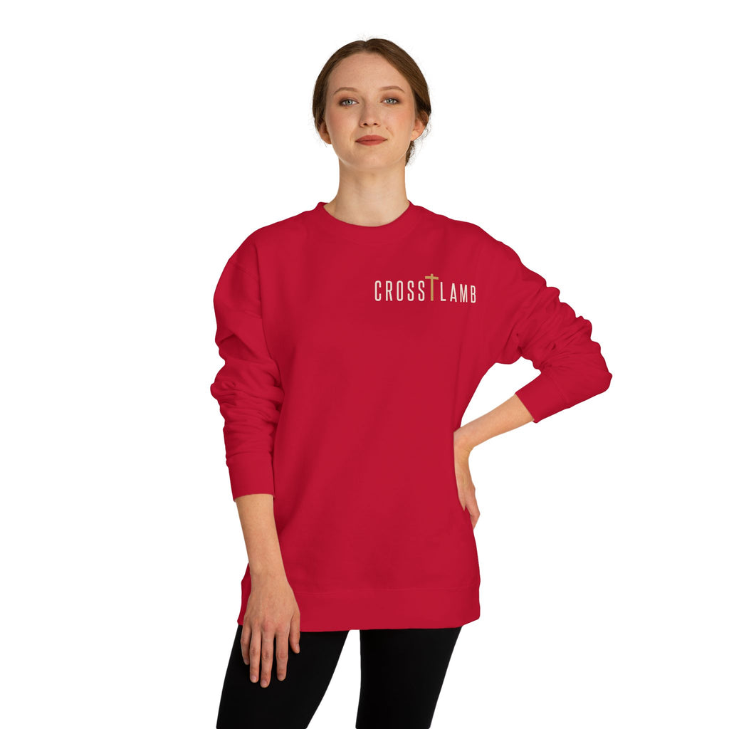 Unisex Crew Neck Sweatshirt,  John 3:16 Faithful Witness Crewneck